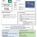 à partir du 25 janvier 2025