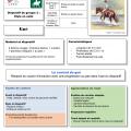 à partir du 28 décembre 2024